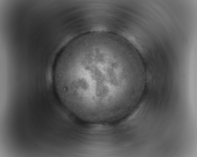 X0000092040347200709261955