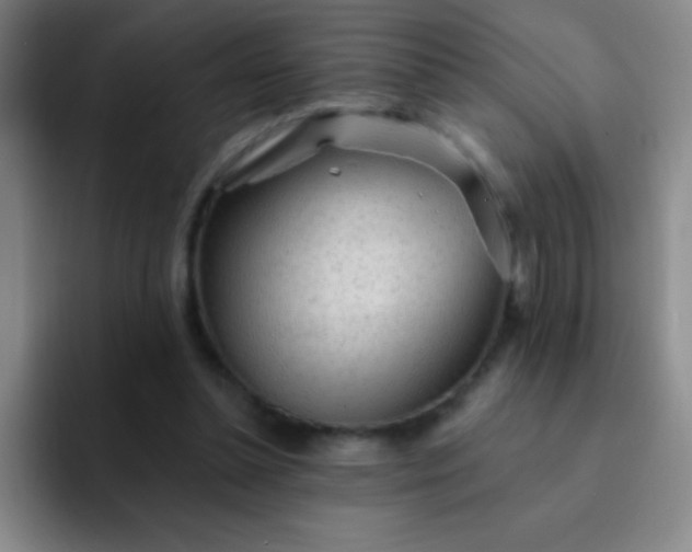 X0000092040348200709261955