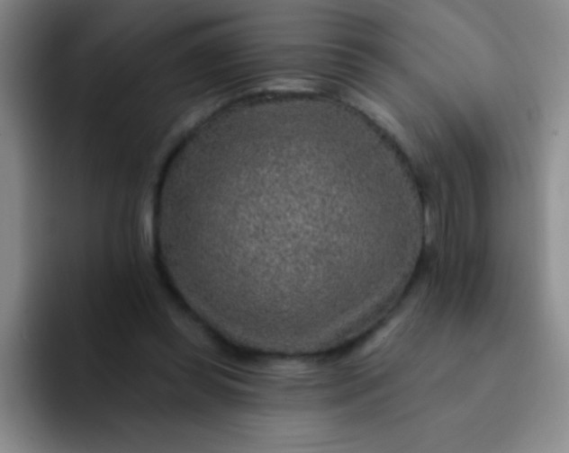 X0000092040349200709261955