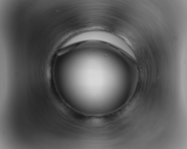 X0000092040350200709261955