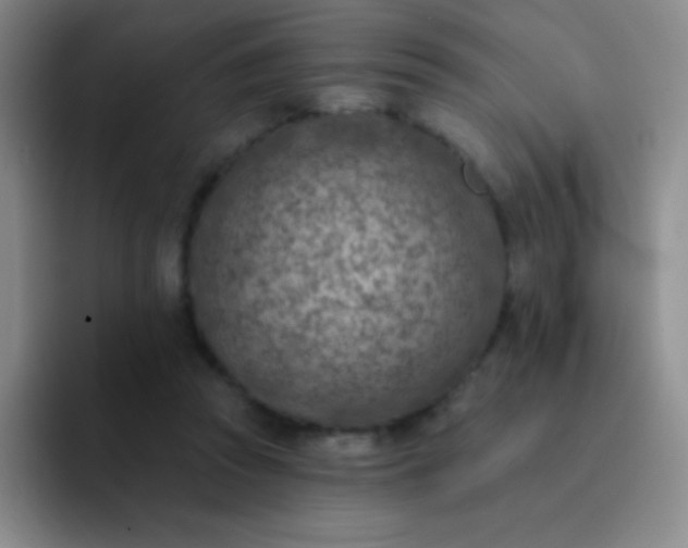 X0000092040353200709261955