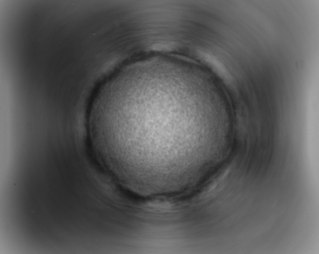 X0000092040354200709261955