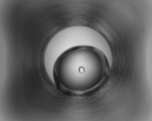 X0000092040356200709261955