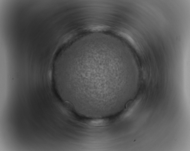 X0000092040357200709261955