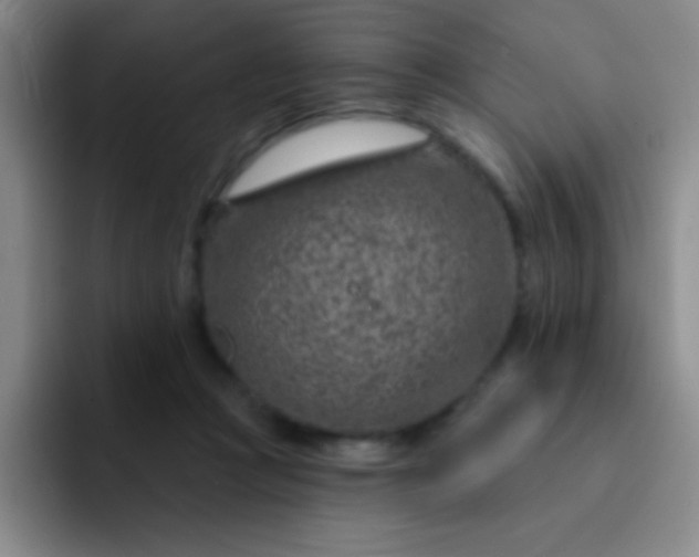 X0000092040361200709261955