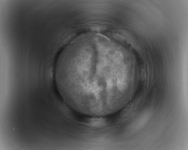 X0000092040363200709261955