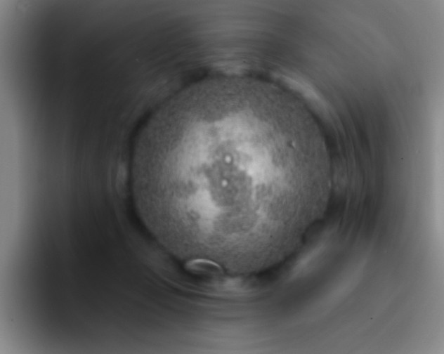 X0000092040365200709261955