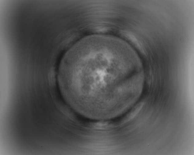 X0000092040366200709261955