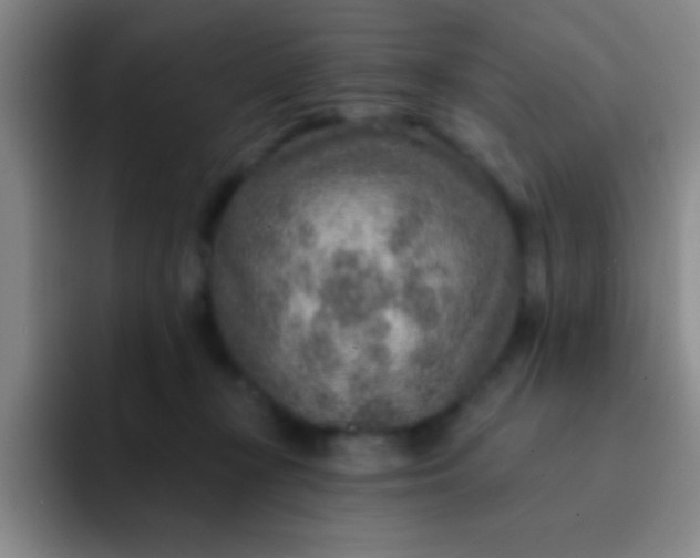 X0000092040367200709261955