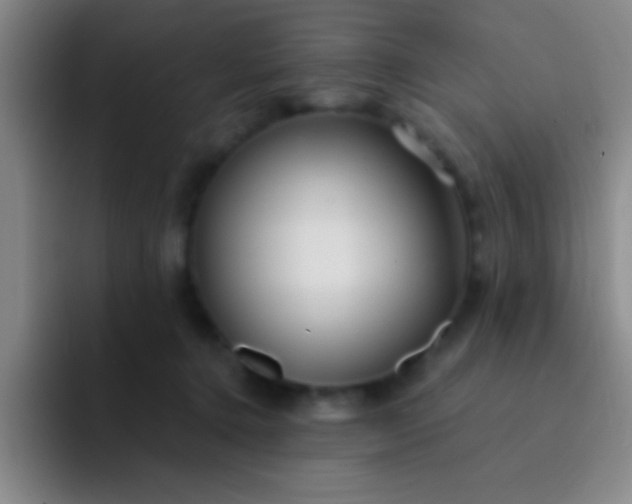 X0000092040368200709261955