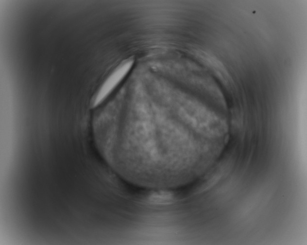 X0000092040369200709261955