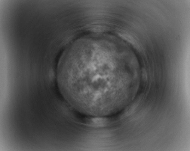 X0000092040371200709261955