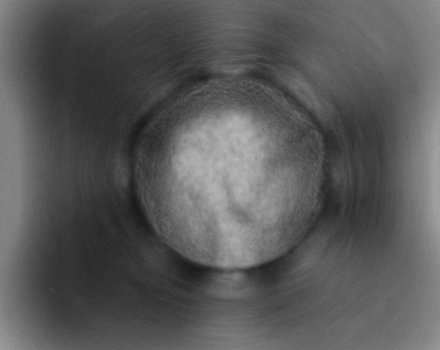 X0000092040374200709261955