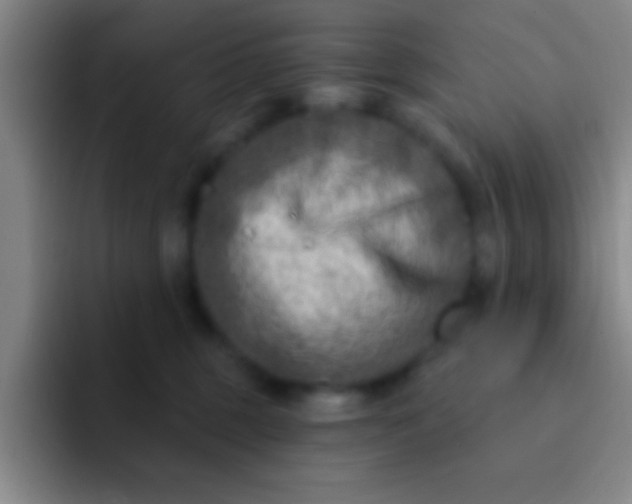 X0000092040375200709261955