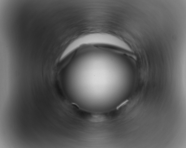 X0000092040376200709261955