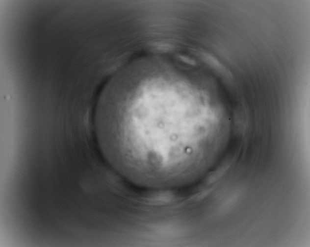 X0000092040377200709261955