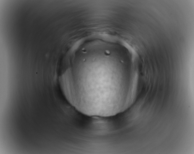 X0000092040380200709261955