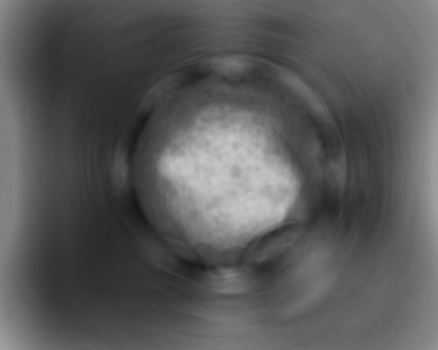 X0000092040381200709261955