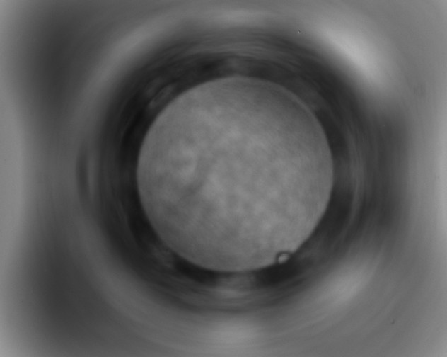 X0000092040382200709261955