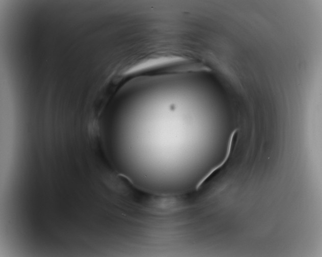 X0000092040384200709261955