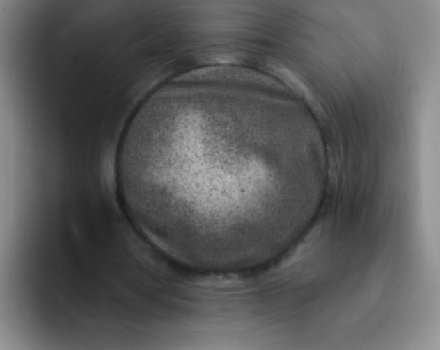 X0000092040386200709261954