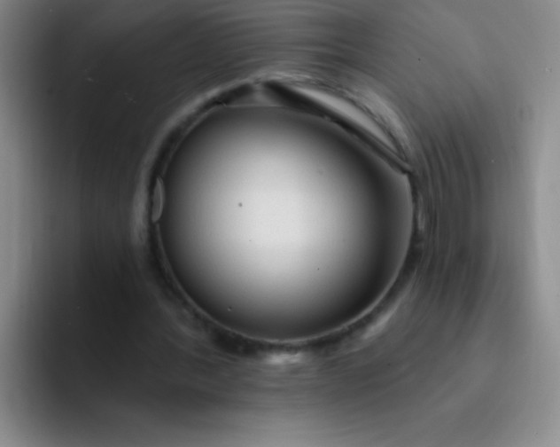 X0000092040388200709261954