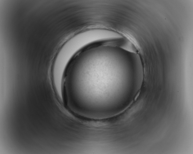 X0000092040389200709261954