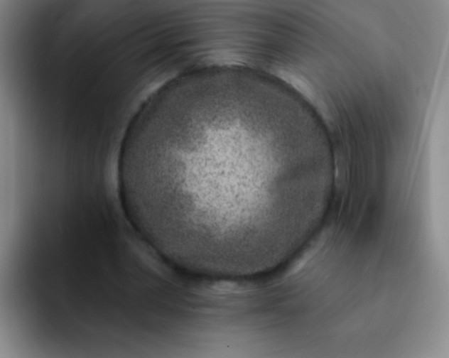 X0000092040390200709261954