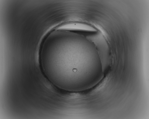 X0000092040391200709261954