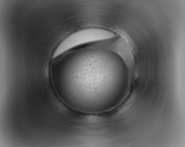 X0000092040393200709261954