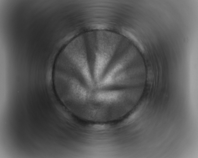 X0000092040394200709261954