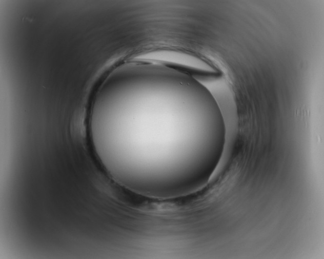 X0000092040395200709261954