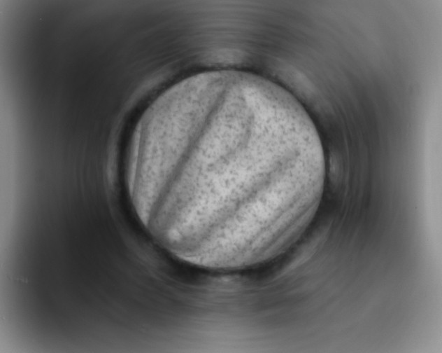 X0000092040396200709261954