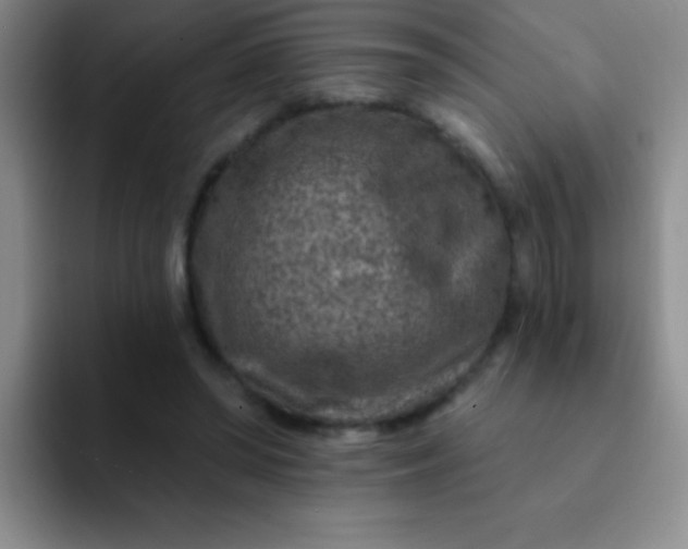 X0000092040398200709261954