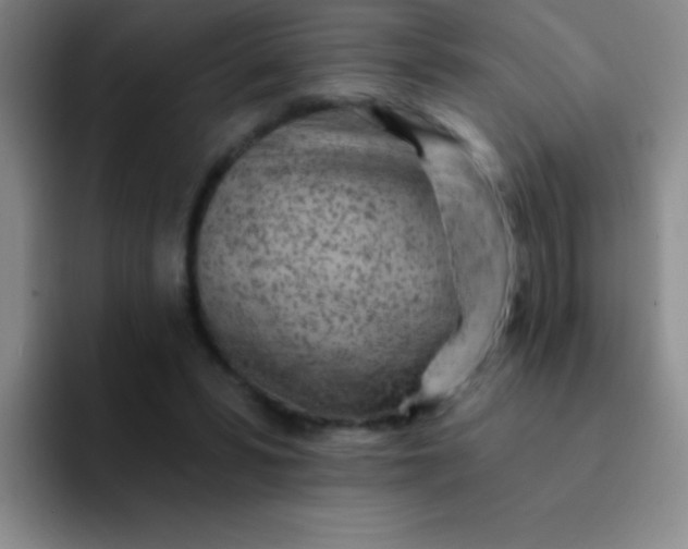 X0000092040399200709261954