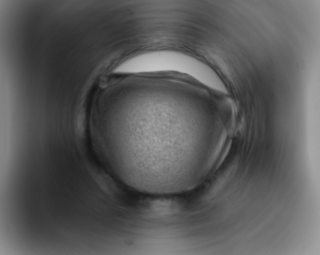 X0000092040400200709261954