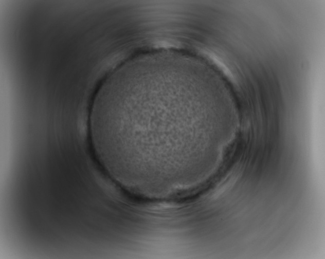 X0000092040402200709261954