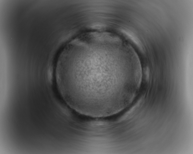 X0000092040404200709261954