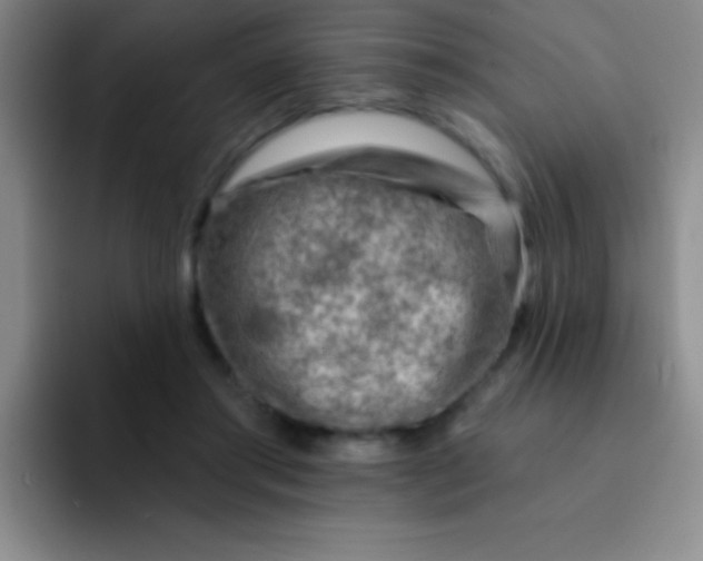 X0000092040405200709261954