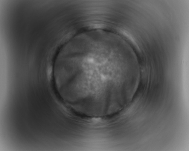 X0000092040406200709261954