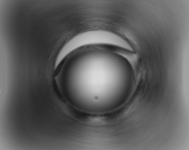 X0000092040407200709261954