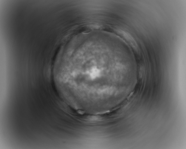 X0000092040409200709261954