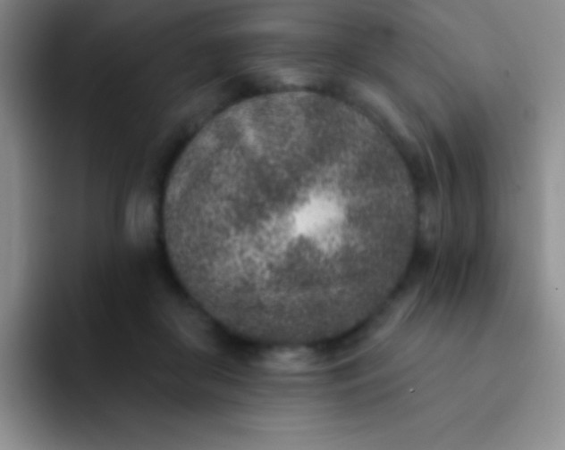 X0000092040410200709261954