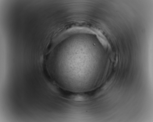 X0000092040412200709261954