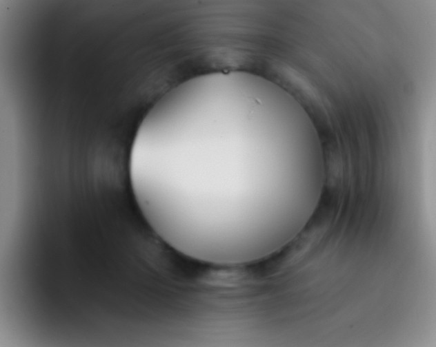 X0000092040414200709261954