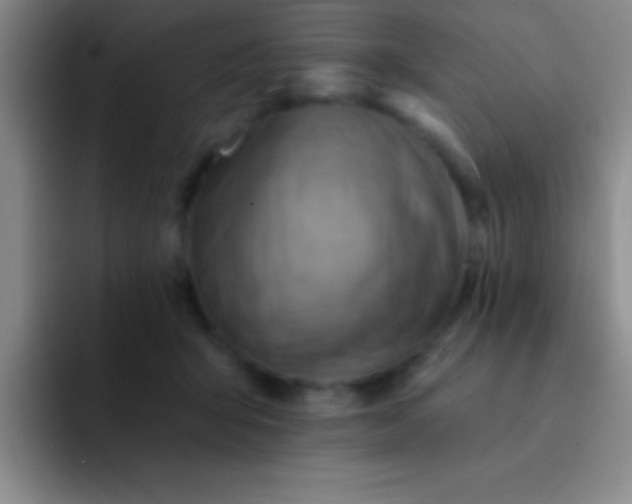 X0000092040415200709261954