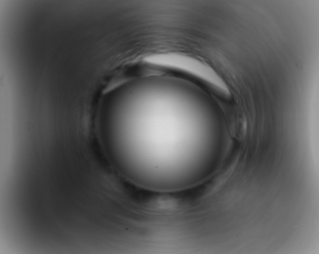 X0000092040416200709261954