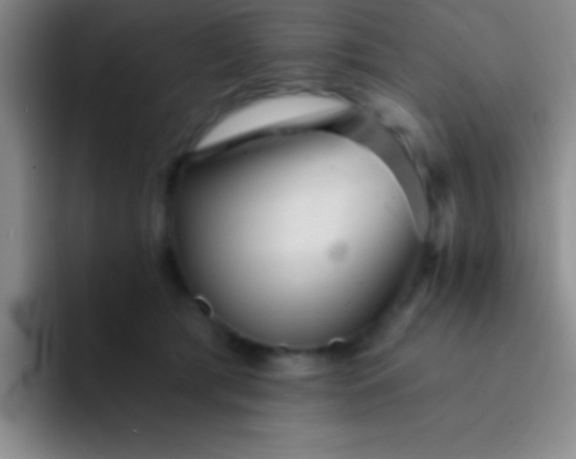 X0000092040417200709261954