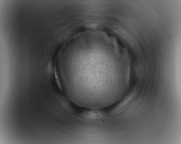 X0000092040420200709261954