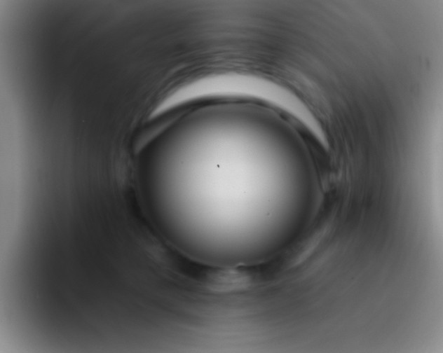 X0000092040421200709261954